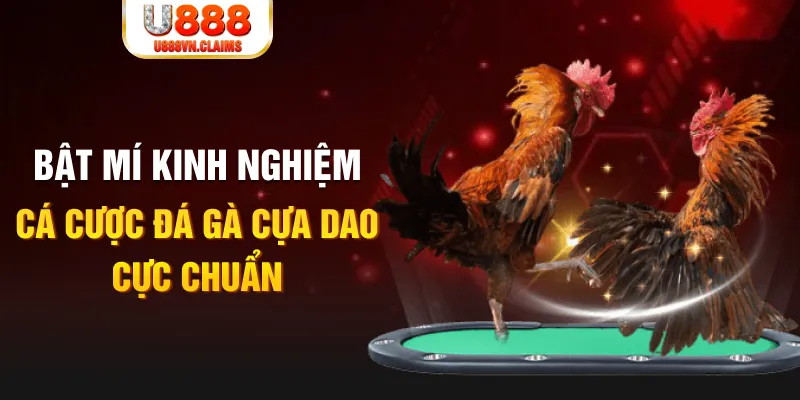 go99 com trong baccarat, ai là người chia bài chính?