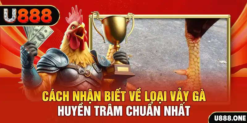 go99 com Chú hề Patty tuổi teen