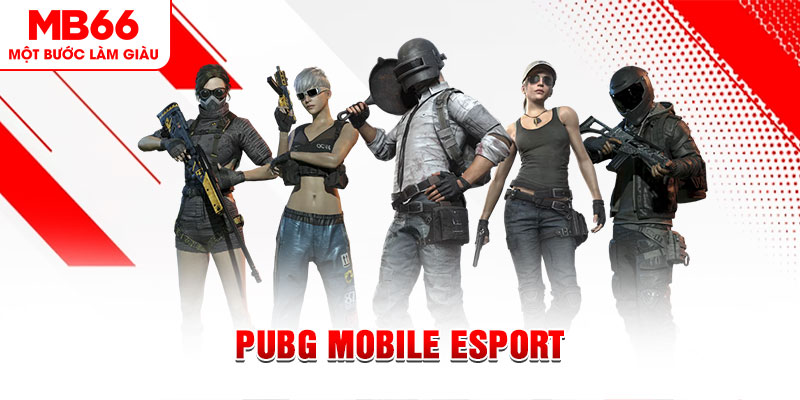 go99 com gà chọi c1 mới nhất