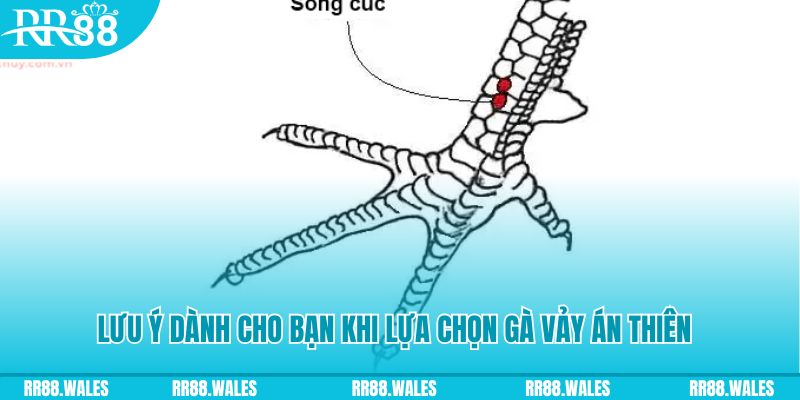 go99 com how to play roulette at casino