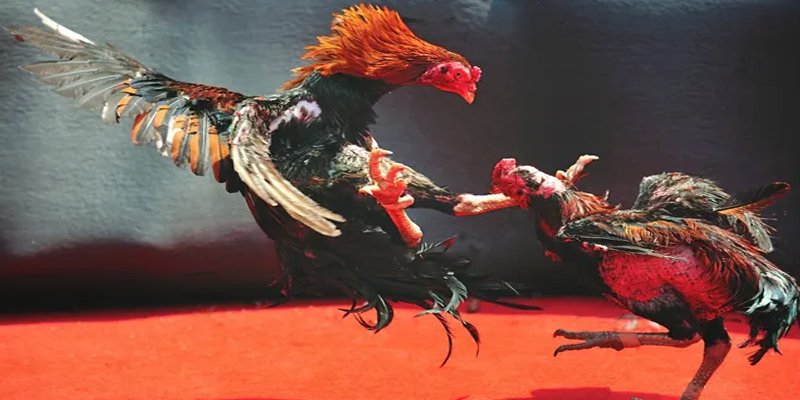 đăng nhập nổ hũ số 1