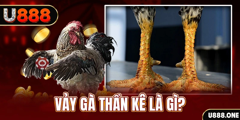 go99 com xổ số miền bắc thứ tư hàng tuần