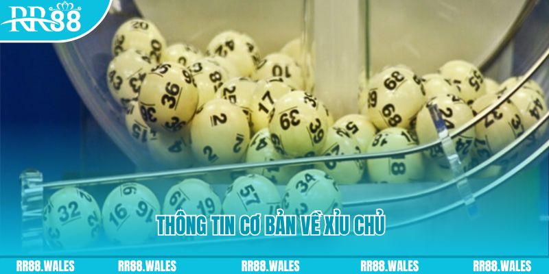 go99 com baccarat long bảo là gì