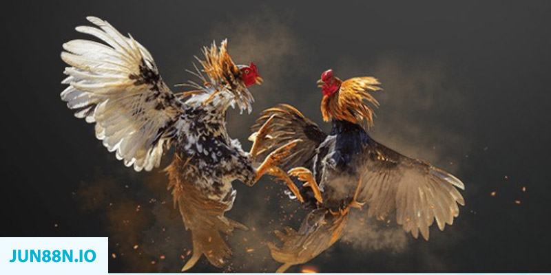 go99 com đăng nhập sòng bạc miễn phí