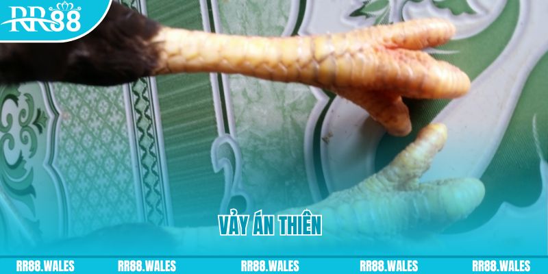 go99 com who wants to be a millionaire slot