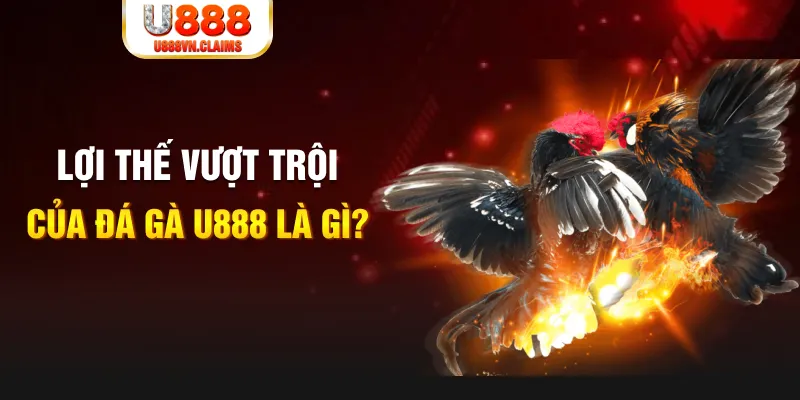 go99 com 888 slot là gì